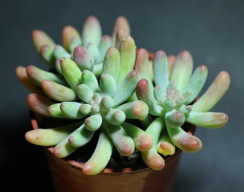 ůÐÄÓÖÐÄÌÛ£¡ËûÃÇÔÚº®·çÖÐÂÖÁ÷ÍоٵçÏß1¸ö°ëСʱ