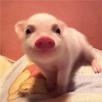 ÎÒ¹ú¶¯²úºÍȨÀûµ£±£Í³Ò»µÇ¼Ç2021Äê1ÔÂ1ÈÕÆðʵʩ