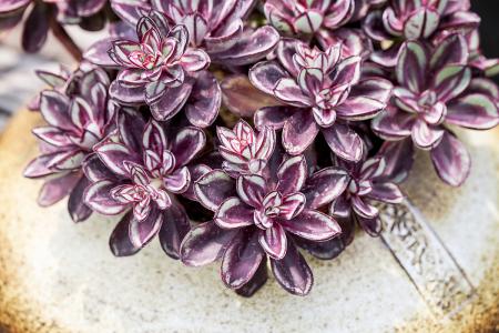 Ò²ÃÅÑǶ¡»ú³¡·¢Éú3´Î¾çÁÒ±¬Õ¨ Ôì³ÉÖÁÉÙ3ÈËËÀÍö