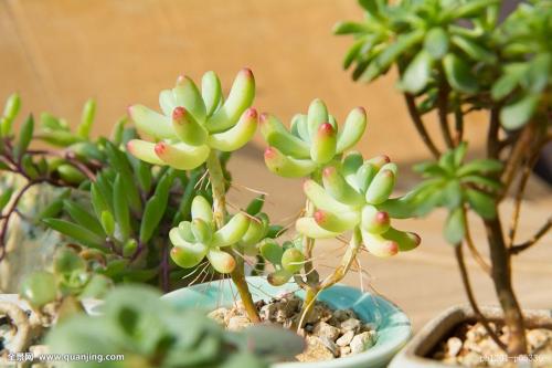 ǰ11¹ҵҵʵ57445Ԫ ͬ2.4%