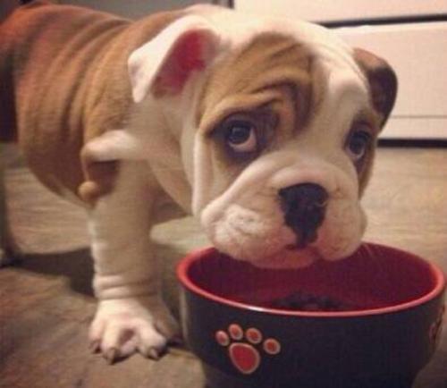 鲿1.97ԪοѵԱϵԱϸɲ