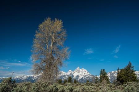 卡塔尔埃米尔再次收到沙特国王的邀请信