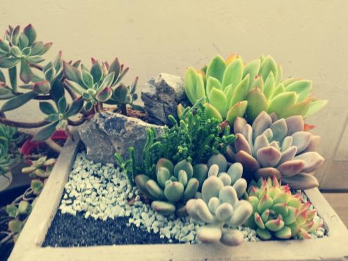 俄战机在波罗的海上空对两架美国轰炸机实施伴飞