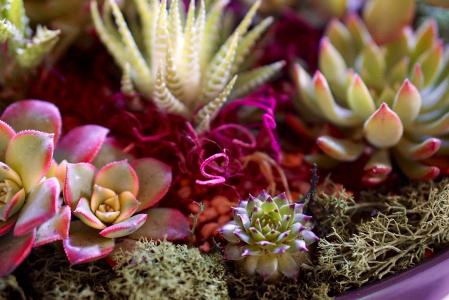 °üï¸ßËÙÏæÎ÷Öݶη¢ÉúÁ¬»·½»Í¨Ê¹ÊÒÑÖÂ9ÈËÓöÄÑ